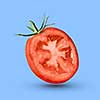 slice of red tomato with green tail isolated on a blue background