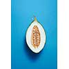 Close up of half melon on blue background isolated