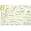 Close up pattern of French bean and zucchini on white background. Healthy eating and food for vegans