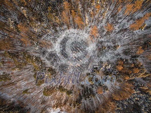 Aerial photo of a snow covered winter forest Aerial photo of a snow covered winter forest