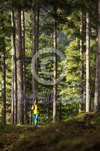 Pretty, young female hiker walking through a splendid old pine forest (shallow DOF) Pretty, young female hiker walking through a splendid old pine forest (shallow DOF)