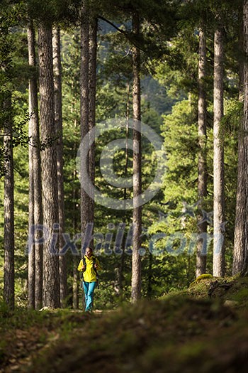 Pretty, young female hiker walking through a splendid old pine forest (shallow DOF)