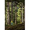 Pretty, young female hiker walking through a splendid old pine forest (shallow DOF)