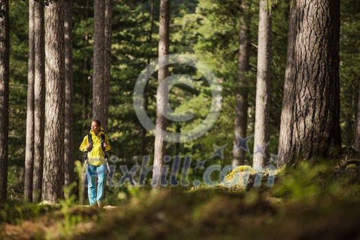 Pretty, young female hiker walking through a splendid old pine forest (shallow DOF)