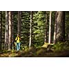 Pretty, young female hiker walking through a splendid old pine forest (shallow DOF)