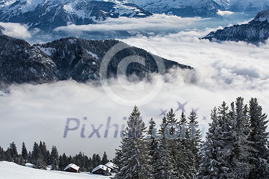 Splendid winter alpine scenery with high mountains and trees covered with snow, clouds hanging low in the valley