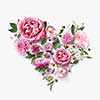 Beautiful pink flowers in a heart on a white background, postcard