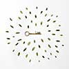 round frame of petals and a key to heart on a white background, Flat lay