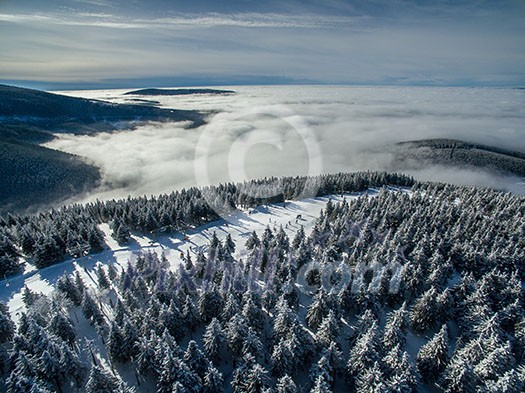 Aerial view of winter forest - trees covered with snow Aerial view of winter forest - trees covered with snow
