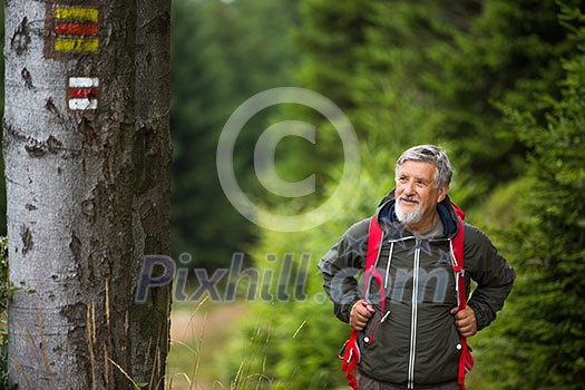 Active senior hiking in high mountains