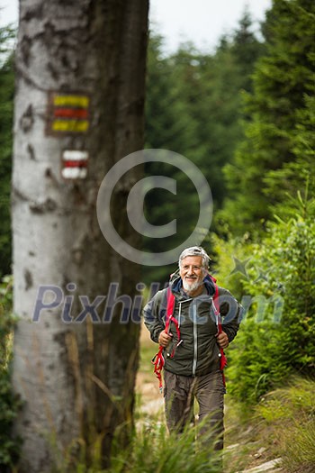 Active senior hiking in high mountains - enjoying his retirement in an active way
