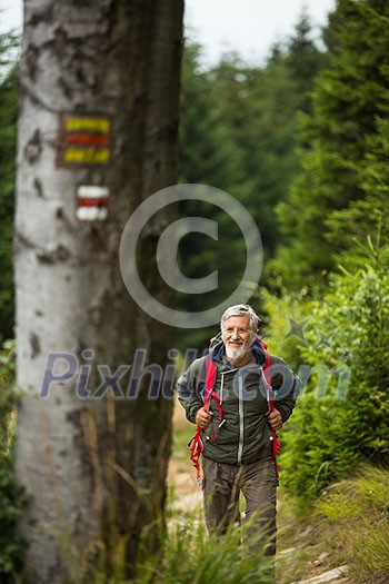 Active senior hiking in high mountains - enjoying his retirement in an active way Active senior hiking in high mountains - enjoying his retirement in an active way