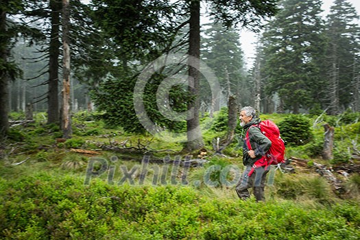 Active senior hiking in high mountains (motion blur technique used to convey movement of the hiker - he is tack sharp, the surroundings is blurred)