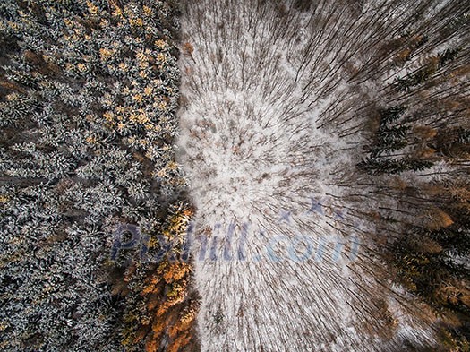 Aerial view of winter forest - trees covered with snow Aerial view of winter forest - trees covered with snow