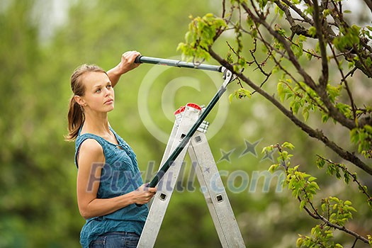 Pretty, young woman gardening in her orchard/garden (color toned image) Pretty, young woman gardening in her orchard/garden (color toned image)