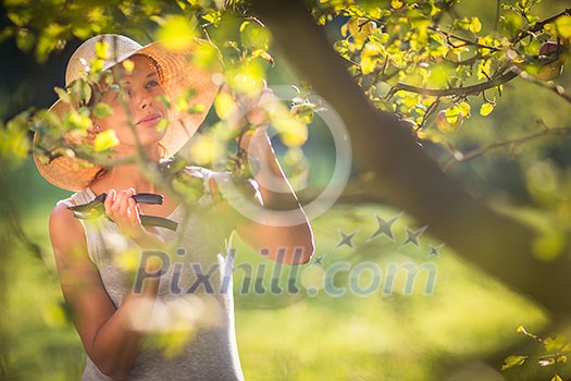Pretty, young woman gardening in her garden, cutting branches, preparing the orchard for the winter Pretty, young woman gardening in her garden, cutting branches, preparing the orchard for the winter
