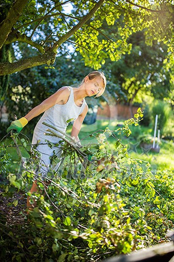 Pretty, young woman gardening in her garden, cutting branches, preparing the orchard for the winter