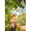 Young woman up on a ladder picking apples from an apple tree on a lovely sunny summer day