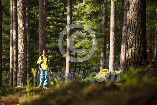 Pretty, young female hiker walking through a splendid old pine forest (shallow DOF)