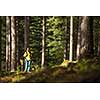 Pretty, young female hiker walking through a splendid old pine forest (shallow DOF)