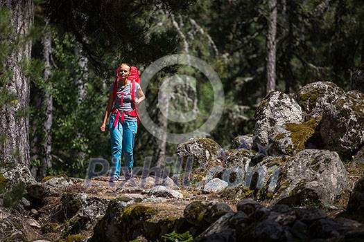 Pretty, young female hiker walking through a splendid old pine forest (shallow DOF)