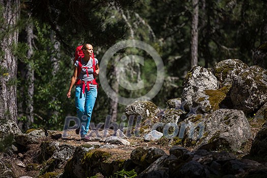 Pretty, young female hiker walking through a splendid old pine forest (shallow DOF) Pretty, young female hiker walking through a splendid old pine forest (shallow DOF)
