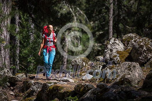 Pretty, young female hiker walking through a splendid old pine forest (shallow DOF)