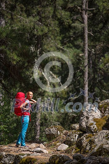 Pretty, young female hiker walking through a splendid old pine forest (shallow DOF)