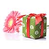 Gift with pink daisy-gerbera on white