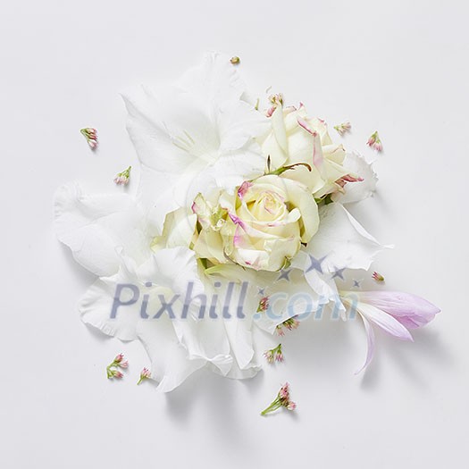 white background from flowers of rose and lilac
