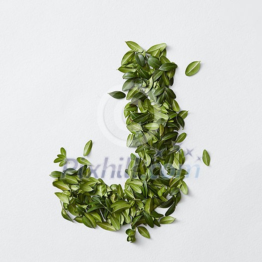 English alphabet concept. Alphabet isolated on white background. Abc letters from green leaves. Letter J represented with green leaves. Symbol J on white. English alphabet concept. Alphabet isolated on white background. Abc letters from green leaves. Letter J represented with green leaves. Symbol J on white.