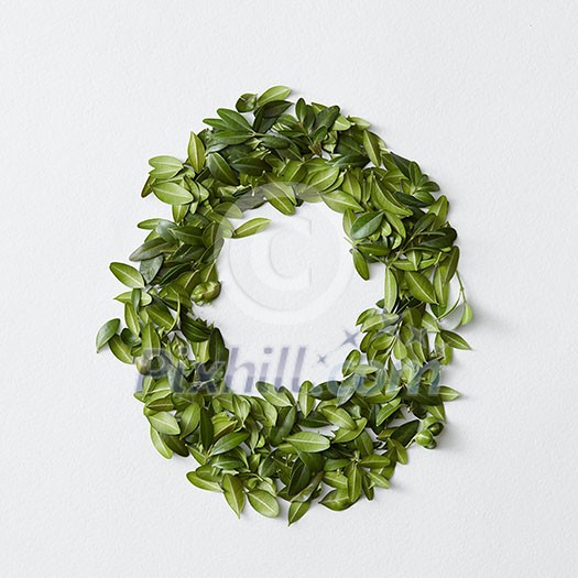 English alphabet concept. Alphabet isolated on white background. Abc letters from green leaves. Letter O represented with green leaves. Symbol O on white. English alphabet concept. Alphabet isolated on white background. Abc letters from green leaves. Letter O represented with green leaves. Symbol O on white.