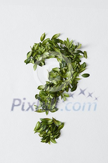 Question mark from green leaves isolated on white background. Question resolution conceptual grass symbol isolated on white. Question mark from green leaves isolated on white background. Question resolution conceptual grass symbol isolated on white.