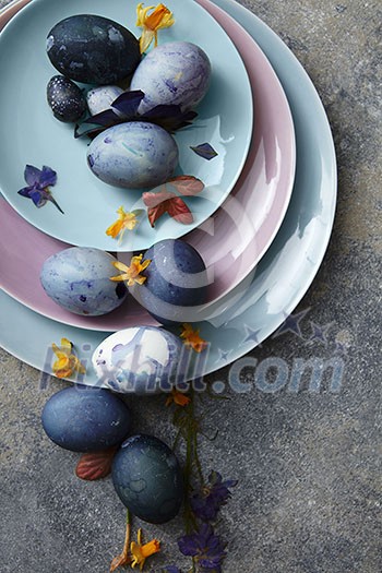 Three plates of different sizes with Easter eggs and petals on a stone background Three plates of different sizes with Easter eggs and petals on a stone background