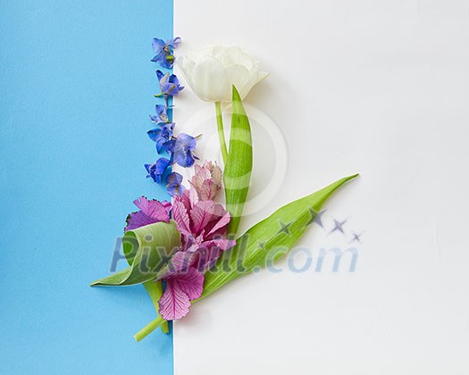 Composition of flowers represented between two copy spaces: white and turquois. Copy spaces may be used for expressing your positive emotions. Composition of flowers represented between two copy spaces: white and turquois. Copy spaces may be used for expressing your positive emotions.