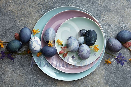 Composition of many eggs represented in plates over grey background. Decoration of any post card on Easter holiday. Easter concept.