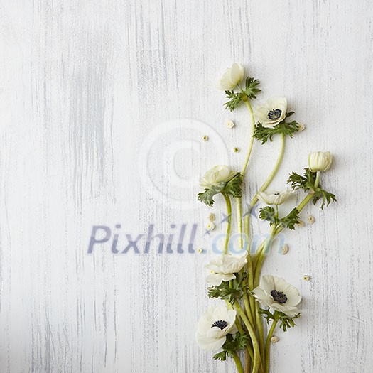 Composition of beautiful white flowers represented over white wooden background. Copy space may be used for your ideas, emotions, etc.