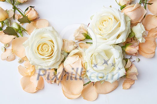 Composition of white and yellow roses over white background. Beautiful decoration of background for representing as gift or present on Woman's Day. Composition of white and yellow roses over white background. Beautiful decoration of background for representing as gift or present on Woman's Day.