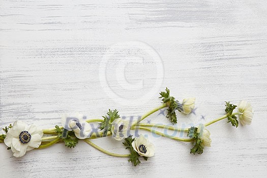 Top view of horizontal weaving flowers over concrete background Top view of horizontal weaving flowers over concrete background