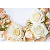 Composition of tender flowers over white background