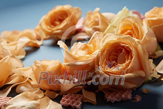 Selective focus on tender orange flowers Selective focus on tender orange flowers