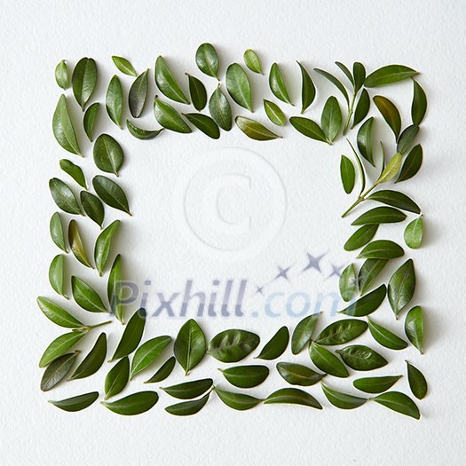 Blank space arranged with green leaves in square shape