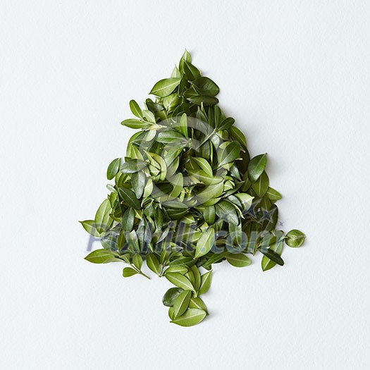 Green leaves arranged in tree shape on white background Green leaves arranged in tree shape on white background
