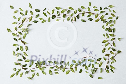 Rectangular frame of green leaves with space for a text, flat lay