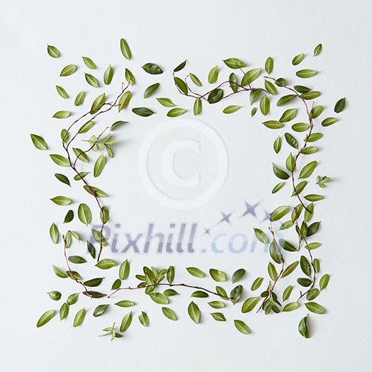 Square frame of green leaves with space for a text, flat lay