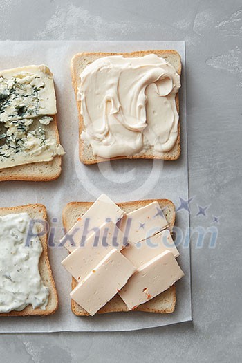 Various types of cheese on toasts close up
