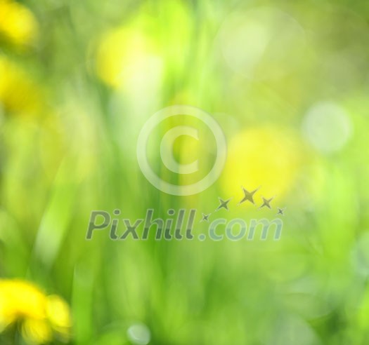 Green grass blurred in-camera for natural background or or bokeh