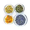 Bowls of dry medicinal herbs on white background from above