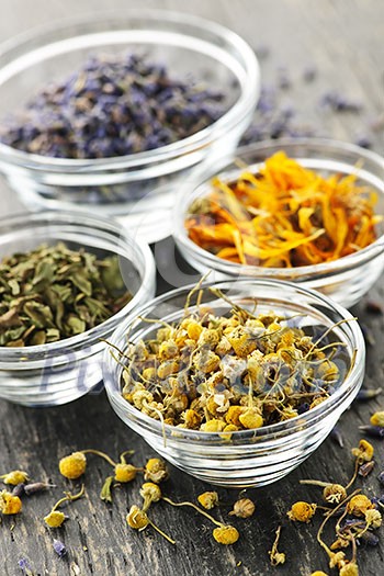 Assortment of dry medicinal herbs in glass bowls