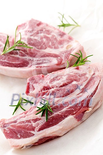 Two raw fresh lamb chops with rosemary herb